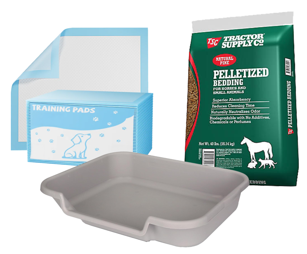 image litter box — Noble Mini Pigs