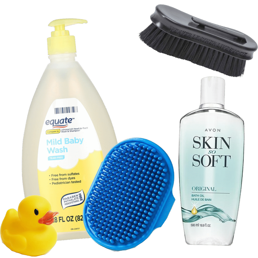 bath grooming — Noble Mini Pigs