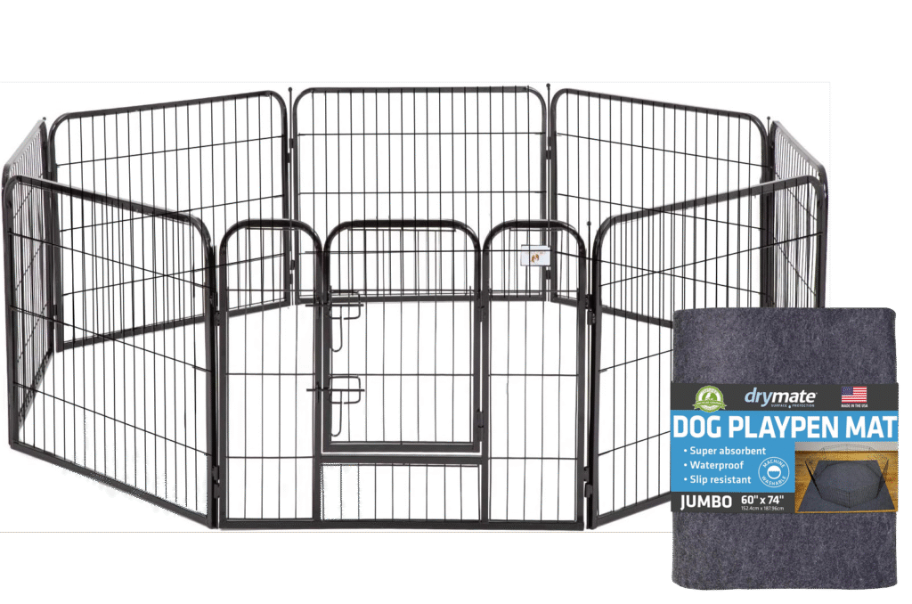 preparing for a new mini piglet — Noble Mini Pigs