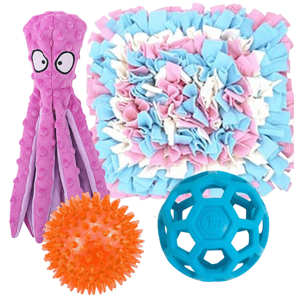 preparing for a new mini piglet — Noble Mini Pigs