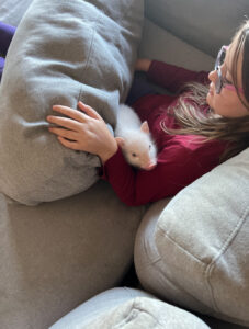 Noble Mini Pigs — Juliana mini piglet