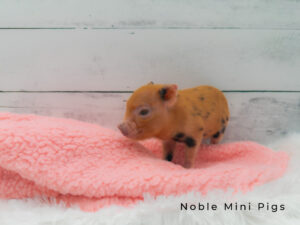Ruby Red Girl