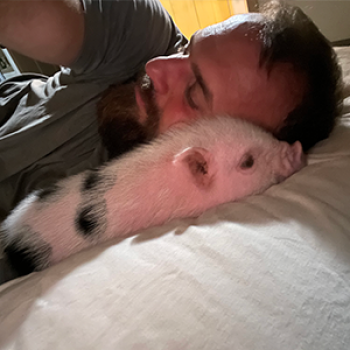 Cares Deeply About The Health And Well Being Of The Pigs — Noble Mini Pigs