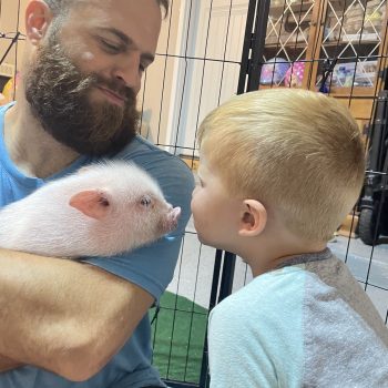 Noble Mini Pigs — Juliana mini piglet