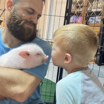 Noble Mini Pigs — Juliana mini piglet