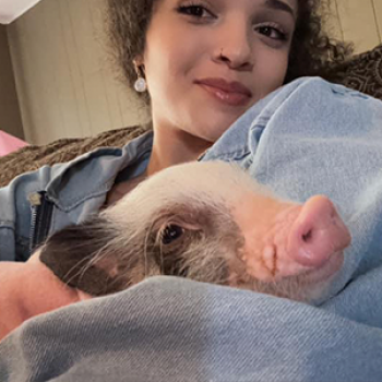 She’s perfect! — Noble Mini Pigs